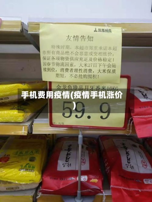 手机费用疫情(疫情手机涨价)