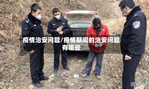 疫情治安问题/疫情期间的治安问题有哪些