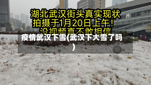 疫情武汉下雪(武汉下大雪了吗)