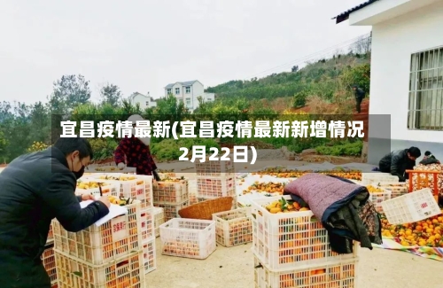 宜昌疫情最新(宜昌疫情最新新增情况2月22日)