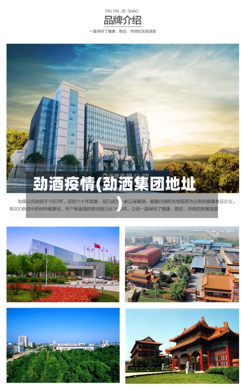 劲酒疫情(劲洒集团地址)
