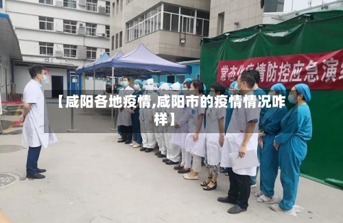 【咸阳各地疫情,咸阳市的疫情情况咋样】