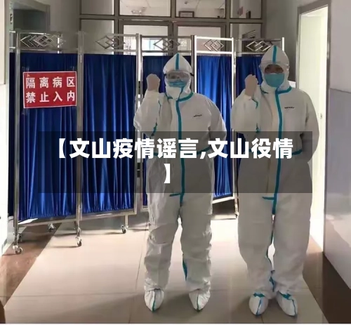 【文山疫情谣言,文山役情】
