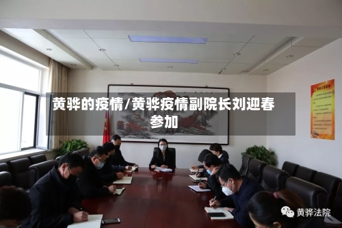 黄骅的疫情/黄骅疫情副院长刘迎春参加