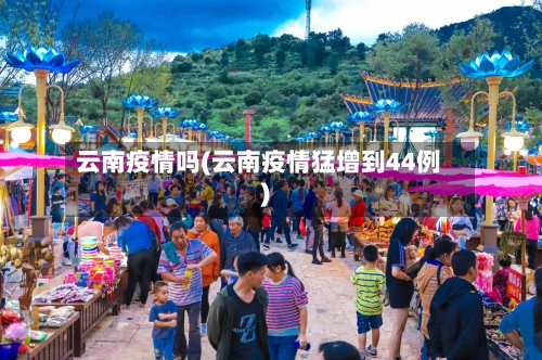 云南疫情吗(云南疫情猛增到44例)