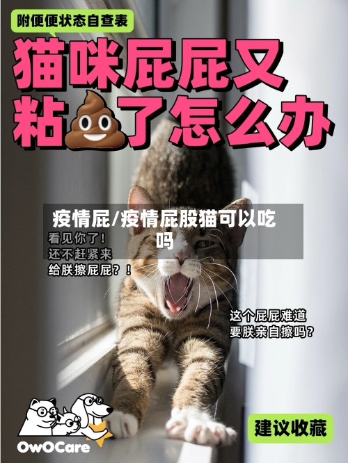 疫情屁/疫情屁股猫可以吃吗