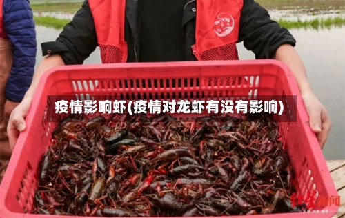 疫情影响虾(疫情对龙虾有没有影响)