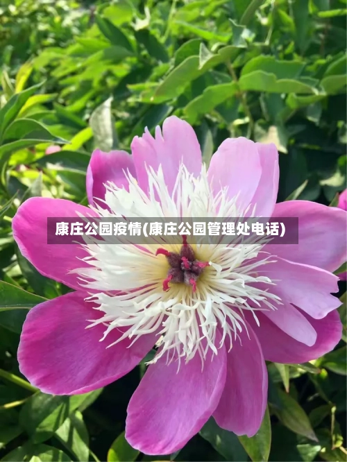 康庄公园疫情(康庄公园管理处电话)
