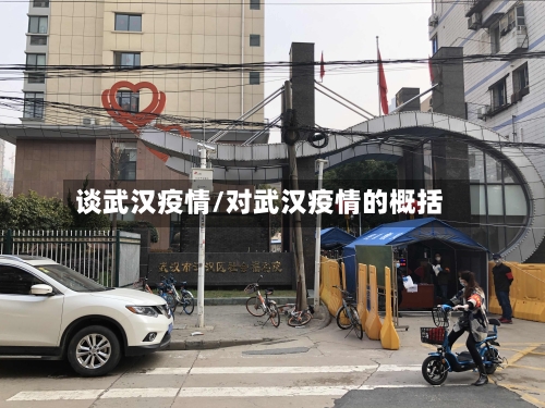 谈武汉疫情/对武汉疫情的概括