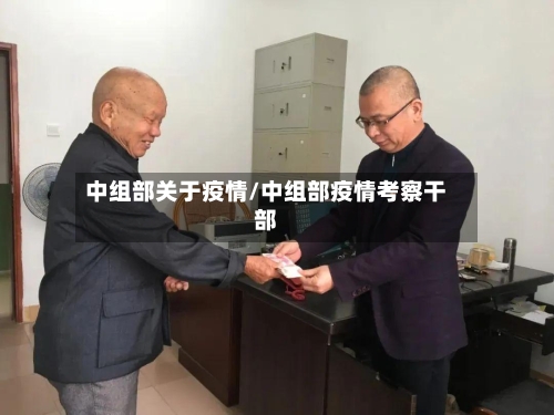 中组部关于疫情/中组部疫情考察干部