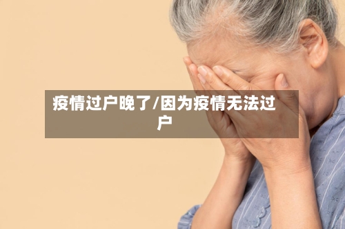 疫情过户晚了/因为疫情无法过户