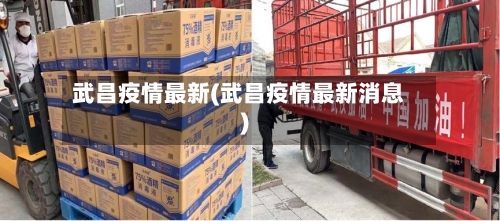 武昌疫情最新(武昌疫情最新消息)
