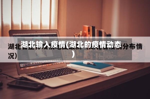 湖北输入疫情(湖北的疫情动态)