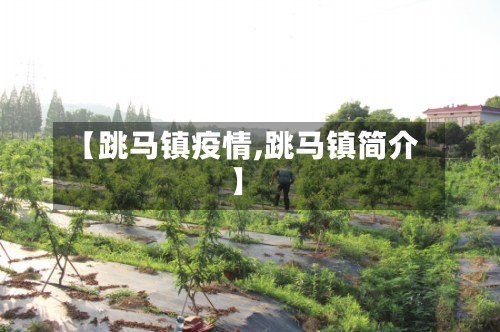 【跳马镇疫情,跳马镇简介】