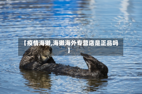【疫情海獭,海獭海外专营店是正品吗】