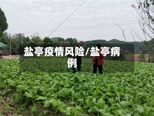 盐亭疫情风险/盐亭病例
