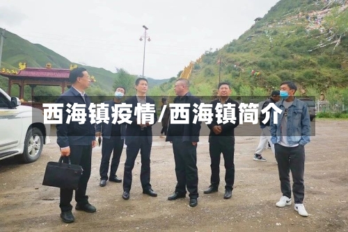 西海镇疫情/西海镇简介
