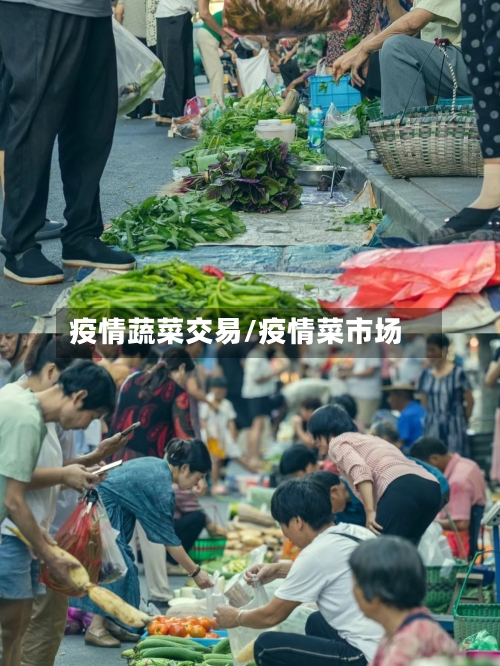 疫情蔬菜交易/疫情菜市场