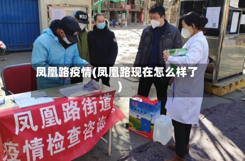 凤凰路疫情(凤凰路现在怎么样了)
