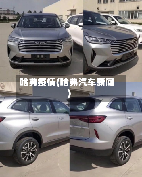 哈弗疫情(哈弗汽车新闻)