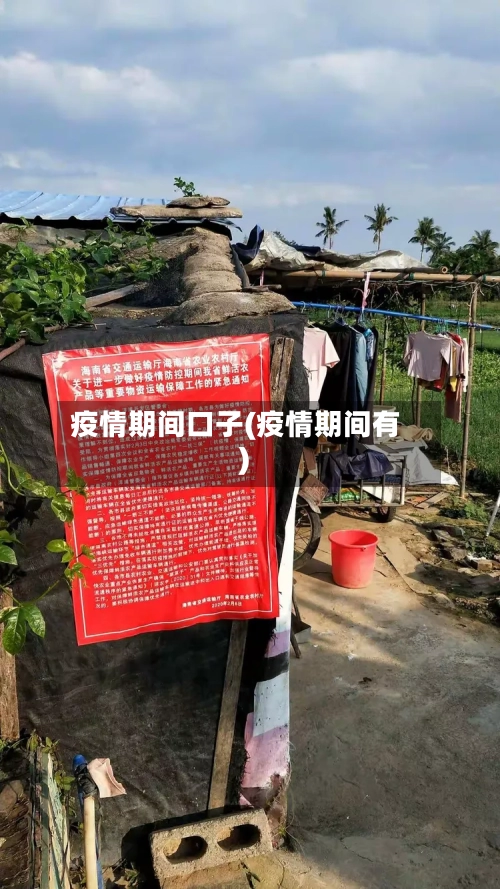 疫情期间口子(疫情期间有)
