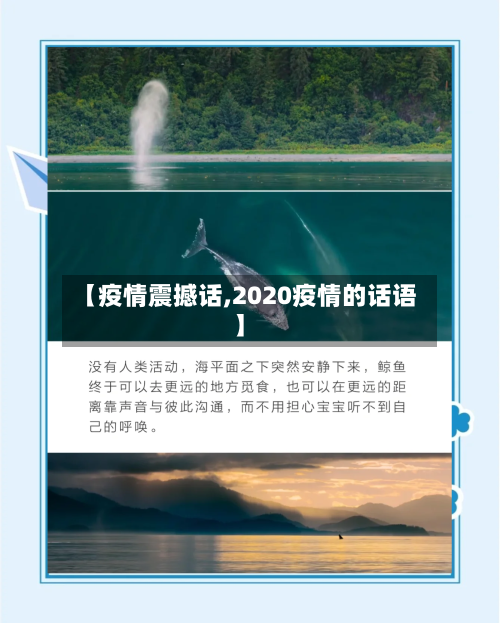 【疫情震撼话,2020疫情的话语】