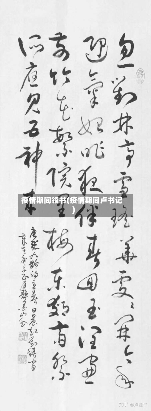疫情期间领书(疫情期间卢书记)