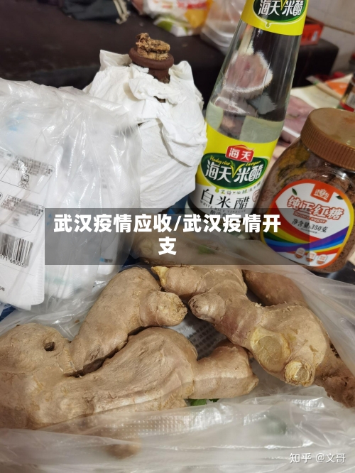 武汉疫情应收/武汉疫情开支