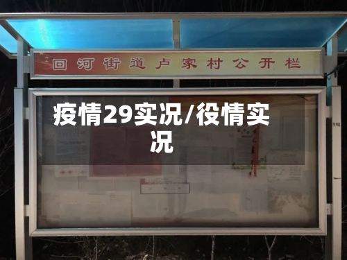 疫情29实况/役情实况
