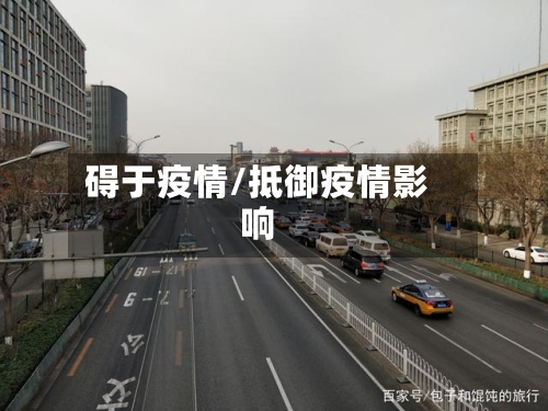碍于疫情/抵御疫情影响