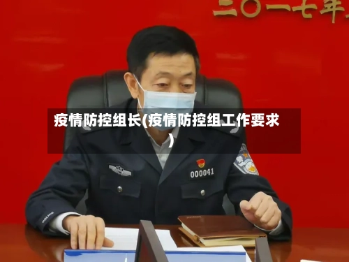 疫情防控组长(疫情防控组工作要求)