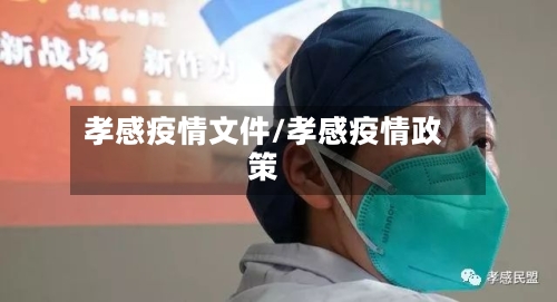 孝感疫情文件/孝感疫情政策