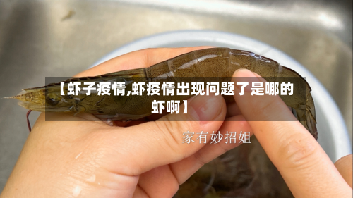 【虾子疫情,虾疫情出现问题了是哪的虾啊】