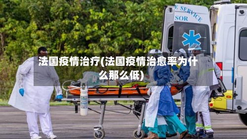 法国疫情治疗(法国疫情治愈率为什么那么低)