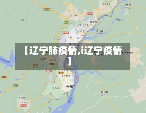 【辽宁肺疫情,i辽宁疫情】
