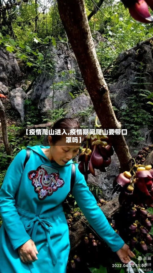 【疫情爬山进入,疫情期间爬山要带口罩吗】