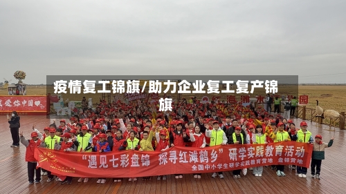 疫情复工锦旗/助力企业复工复产锦旗
