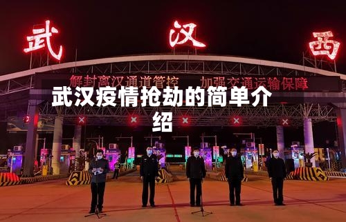 武汉疫情抢劫的简单介绍