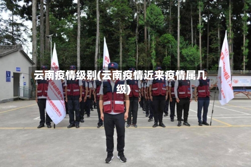 云南疫情级别(云南疫情近来疫情属几级)