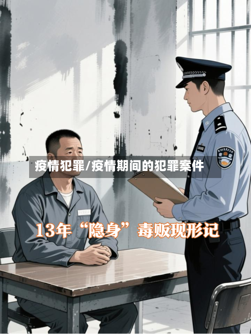 疫情犯罪/疫情期间的犯罪案件