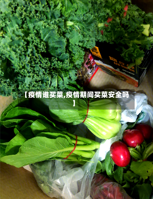 【疫情谁买菜,疫情期间买菜安全吗】