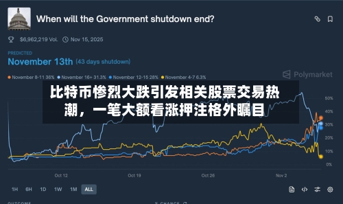 比特币惨烈大跌引发相关股票交易热潮，一笔大额看涨押注格外瞩目