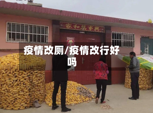 疫情改厕/疫情改行好吗