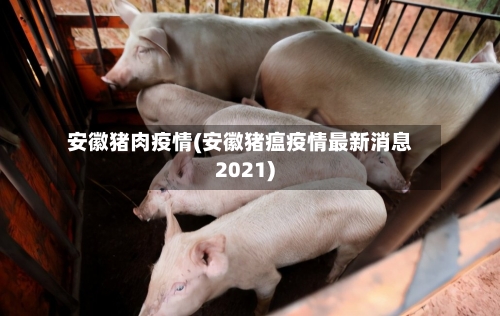 安徽猪肉疫情(安徽猪瘟疫情最新消息2021)