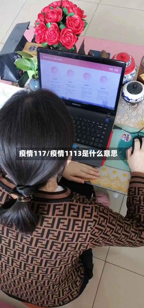 疫情117/疫情1113是什么意思