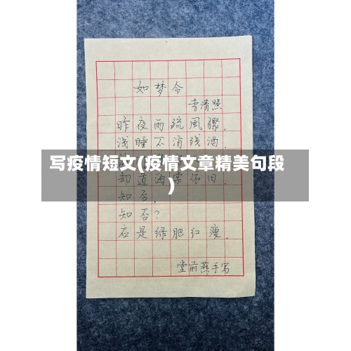 写疫情短文(疫情文章精美句段)
