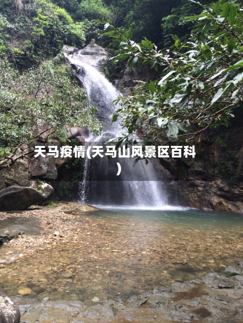 天马疫情(天马山风景区百科)
