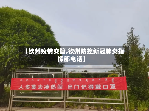 【钦州疫情交管,钦州防控新冠肺炎指挥部电话】