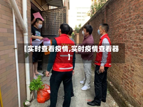 【实时查看疫情,实时疫情查看器】