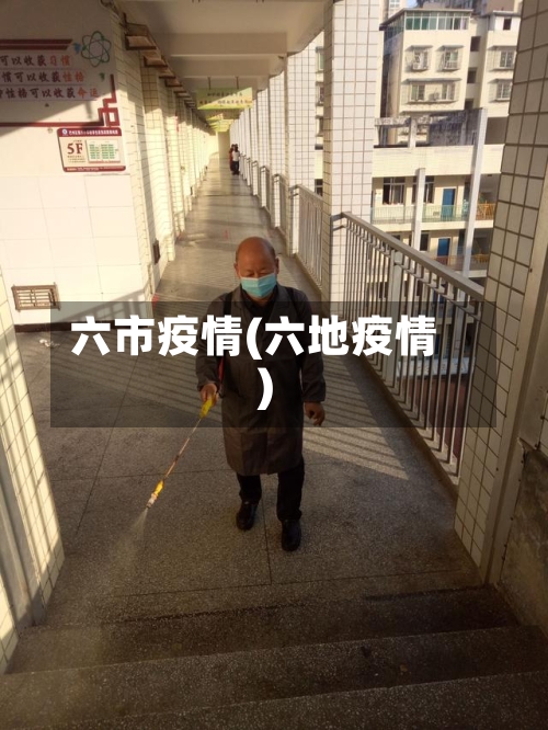 六市疫情(六地疫情)